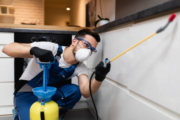 Best Pest Inspection Near Me  in Pickens, MS