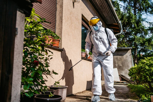 Best Best Pest Control Companies  in Pickens, MS