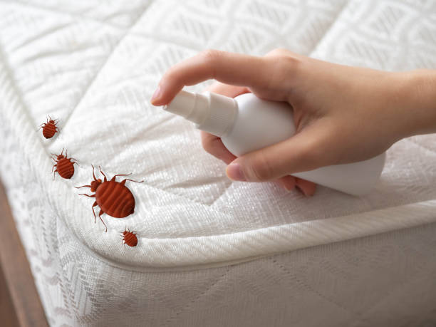 Best Emergency Pest Control  in Pickens, MS